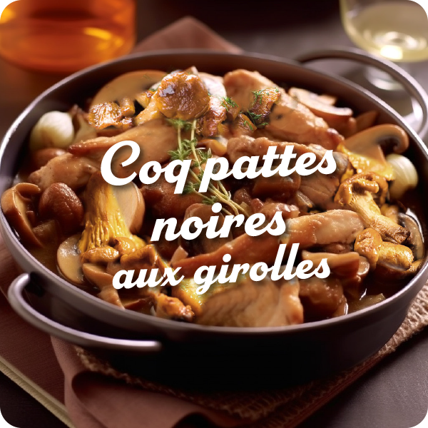 coq-girolles-vignette-recette